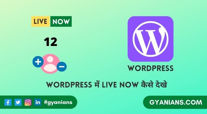 Website Ki Traffic Kaise Check Kare - WordPress Tutorial in Hindi